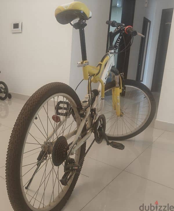 VLRA GEARED CYCLE 0