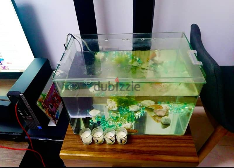 Used Dinning Table (Only-No Chairs), Sofa and Fish Aquarium for sale 4