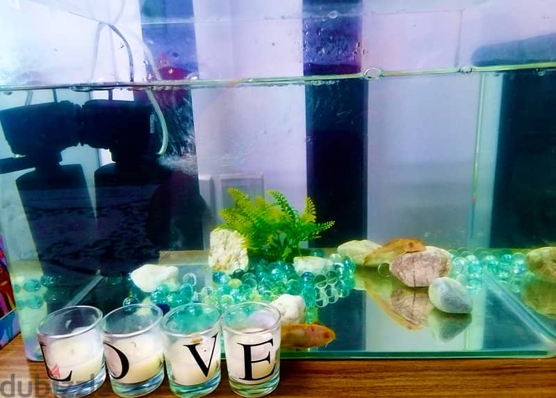 Used Dinning Table (Only-No Chairs), Sofa and Fish Aquarium for sale 5