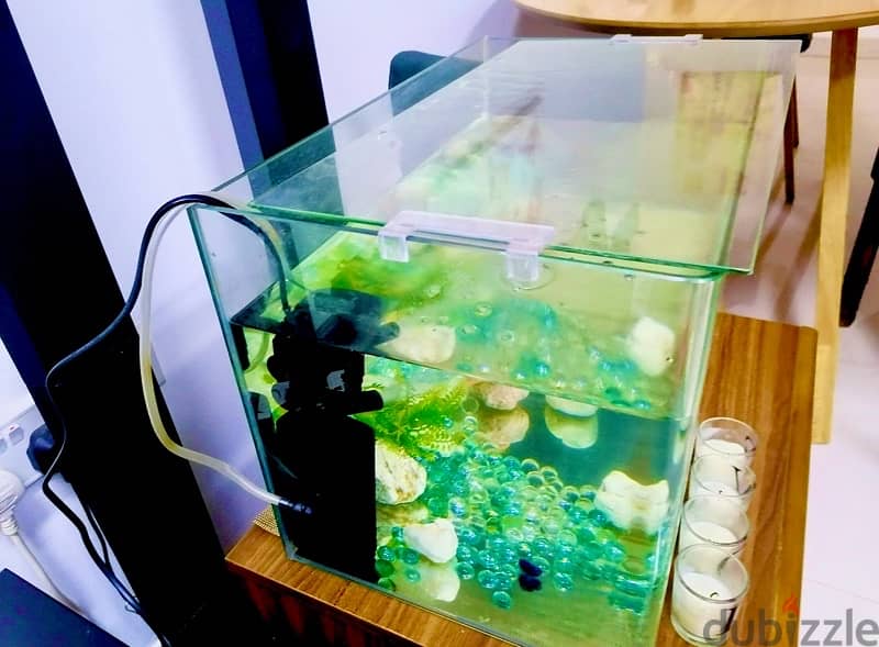 Used Dinning Table (Only-No Chairs), Sofa and Fish Aquarium for sale 6