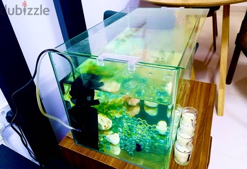 Used Dinning Table (Only-No Chairs), Sofa and Fish Aquarium for sale 7