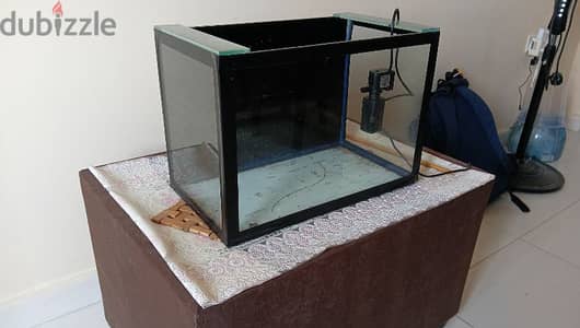 Aquarium tank and filter