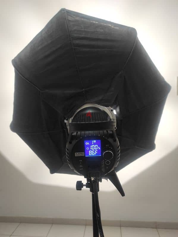 GODOX SL60W LIGHT & GODOX 95CM SOFTBOX 5