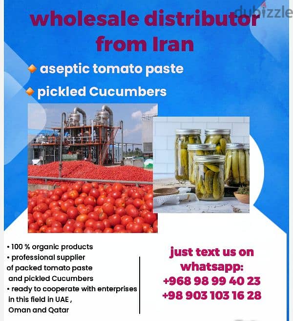 tomato paste and pickles supplier 0