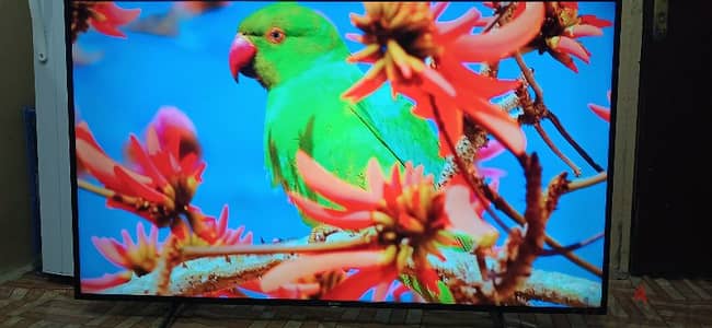 Sony Smart 4k UHD 65inch android Led tv for sale