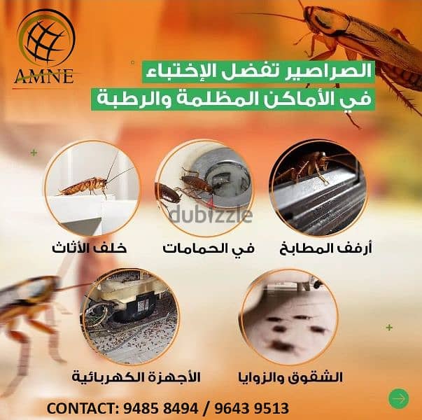 General pest control service 9643 9513 2