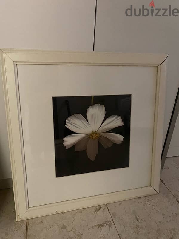 flower rose art poster perfect condition لوحة ورود للزينة 2