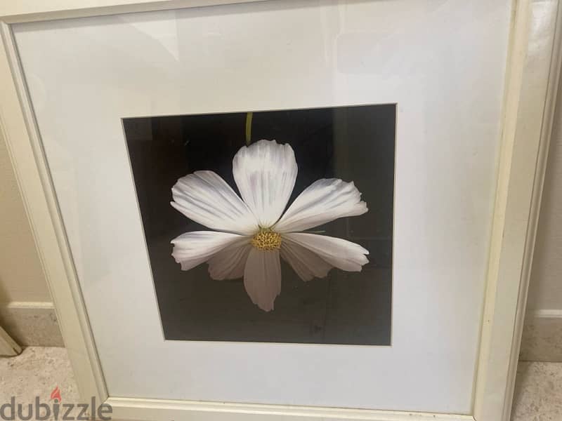 flower rose art poster perfect condition لوحة ورود للزينة 0