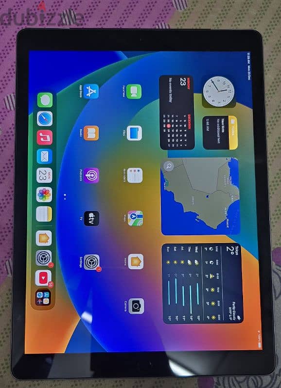 ipad pro 12.9 inch display 1