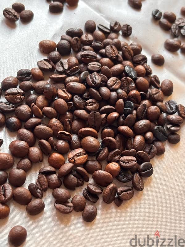 roasted coffee beans حبوب قهوة محمصة 0