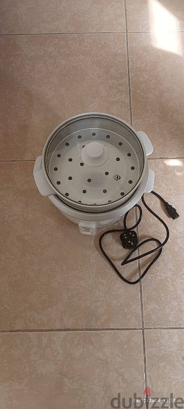 electric rice cooker 2