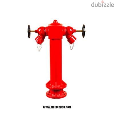 Wet Barrel Pillar 2 Ways Fire Hydrant with Valves BS750 Wet Barrel Pil