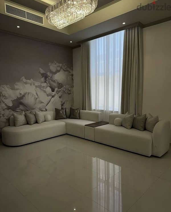 Elegant Sofas 10