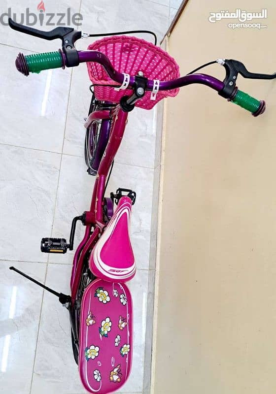 Kids Bicycle 1