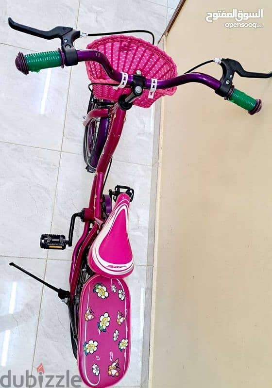 Kids Bicycle 2