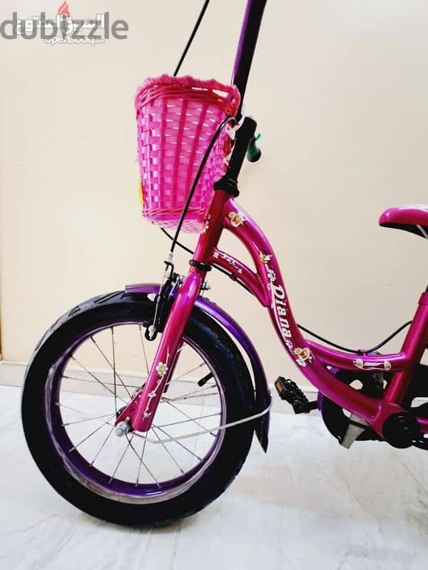 Kids Bicycle 3