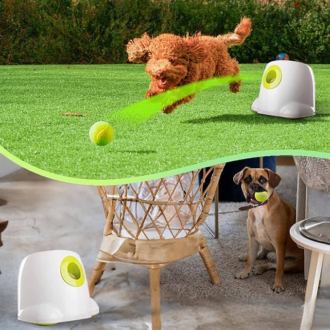 Automatic Dog Ball Launcher 1