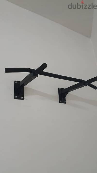 Wall Mount chin up bar