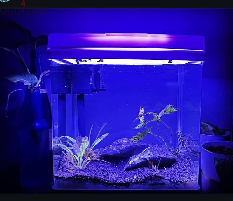 Fish tank with Lid 0