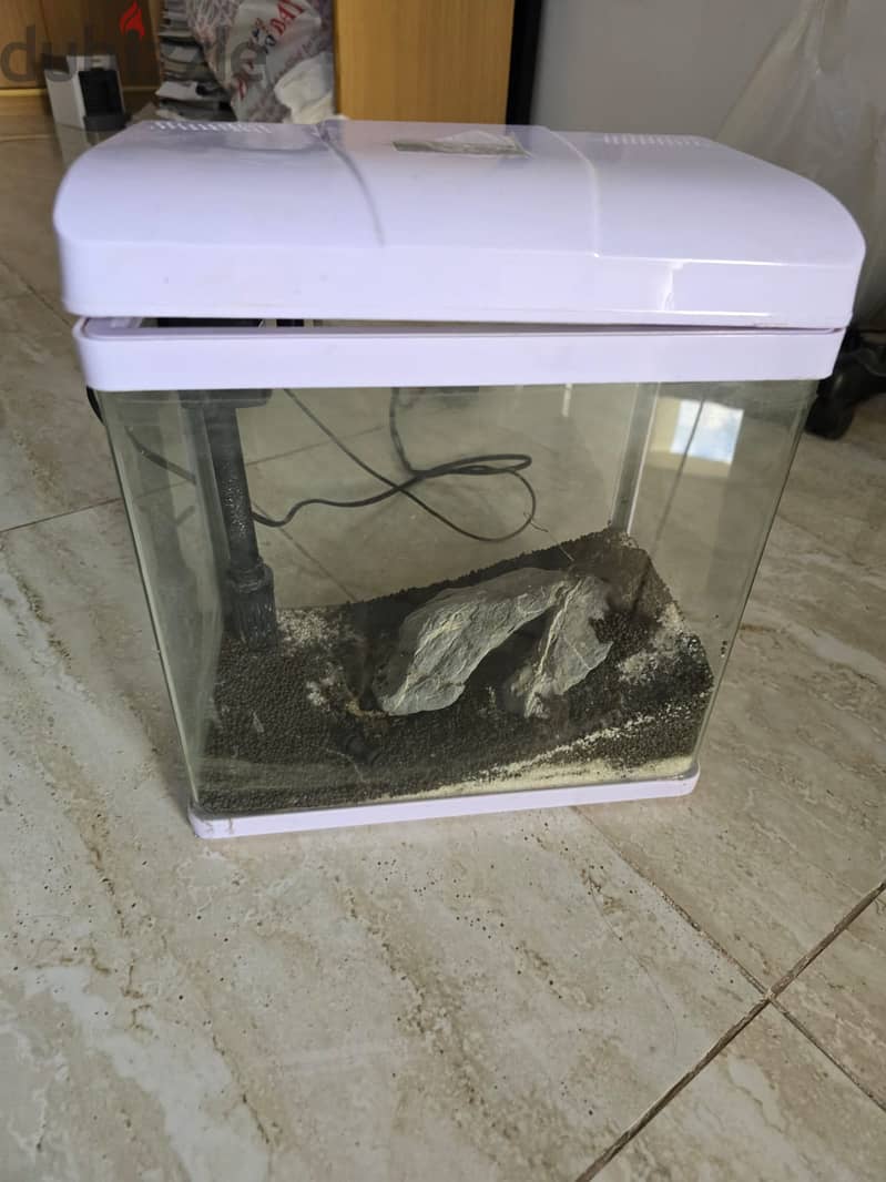 Fish tank with Lid 1