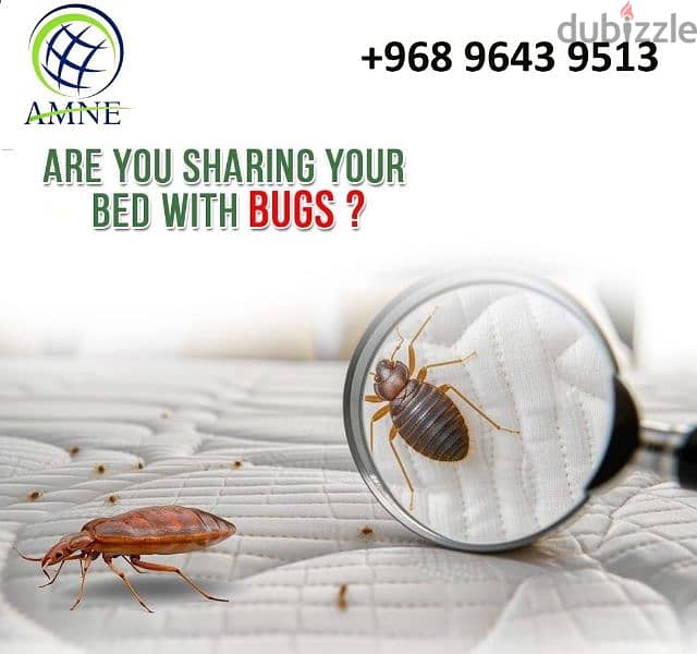 Muscat general pest control service 2