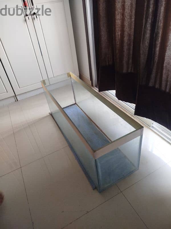 Big Fish aquarium for sale in wadi Kabir 0