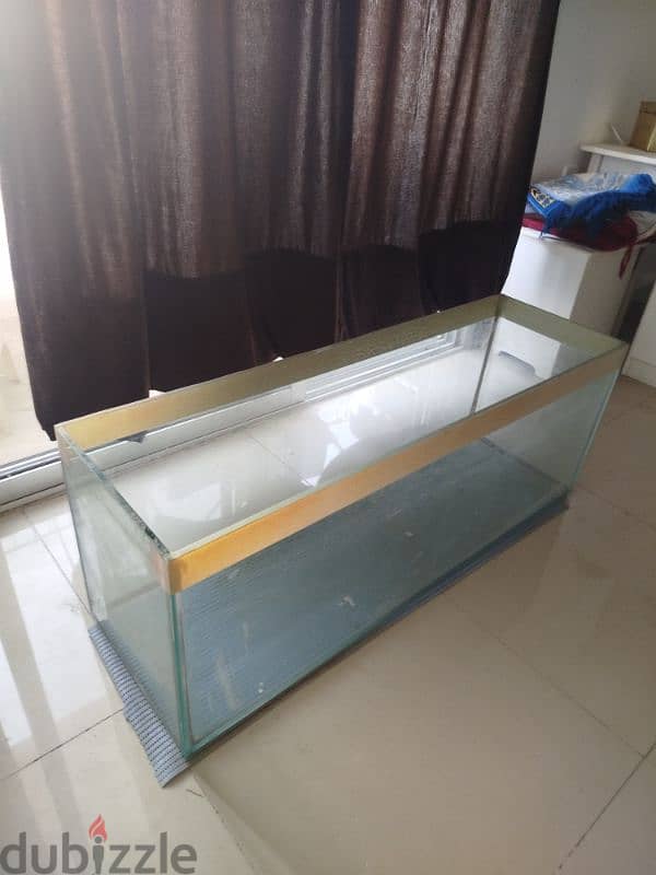 Big Fish aquarium for sale in wadi Kabir 1