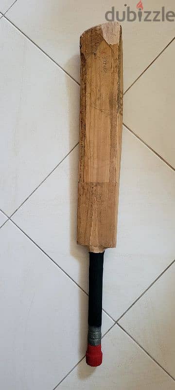 Cricket bat 2