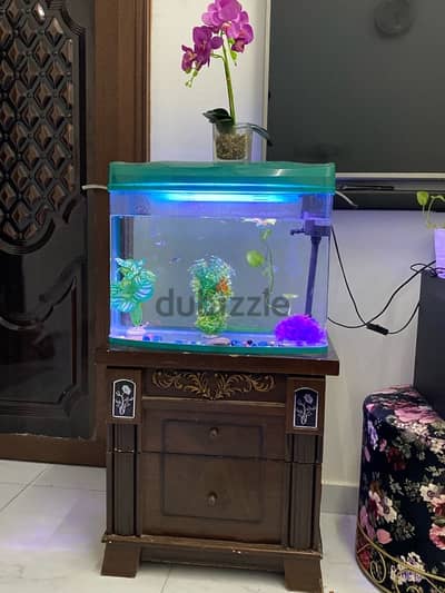 Live fish with tank , plants and table