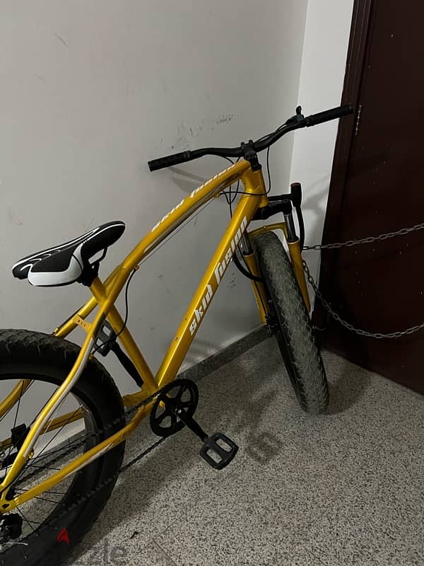 Bicycle for Immediate Sale 0