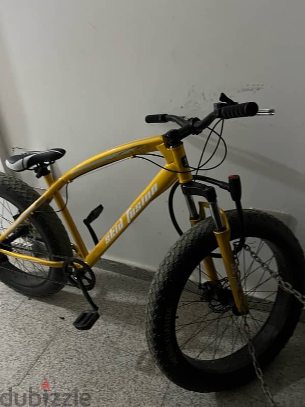 Bicycle for Immediate Sale 2