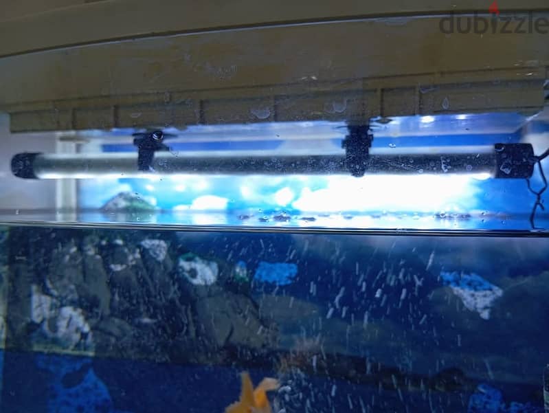 Fish Aquarium with 6 Fish/LED light and Pump 2