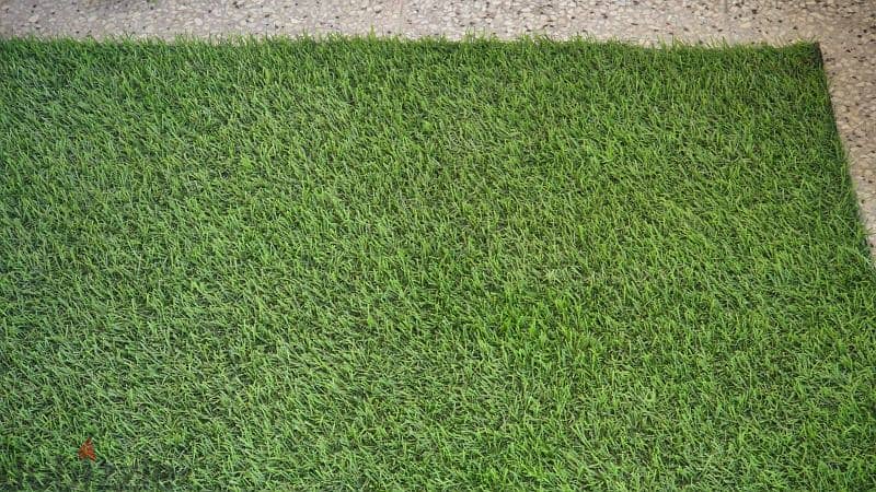 Grass carpet 1