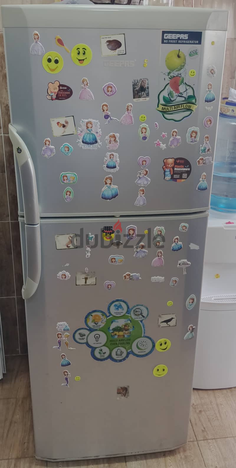 Geepass model refrigerator 2