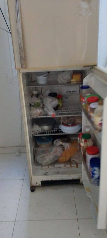 fridge 1