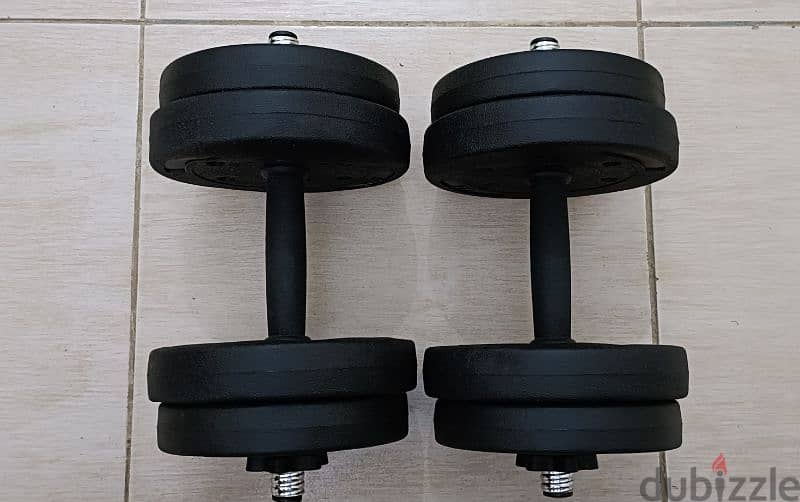 Dumbbell 1