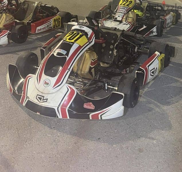 Birel Art Junior Max Kart 3