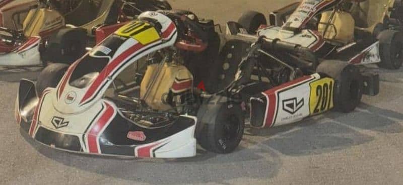 Birel Art Junior Max Kart 4