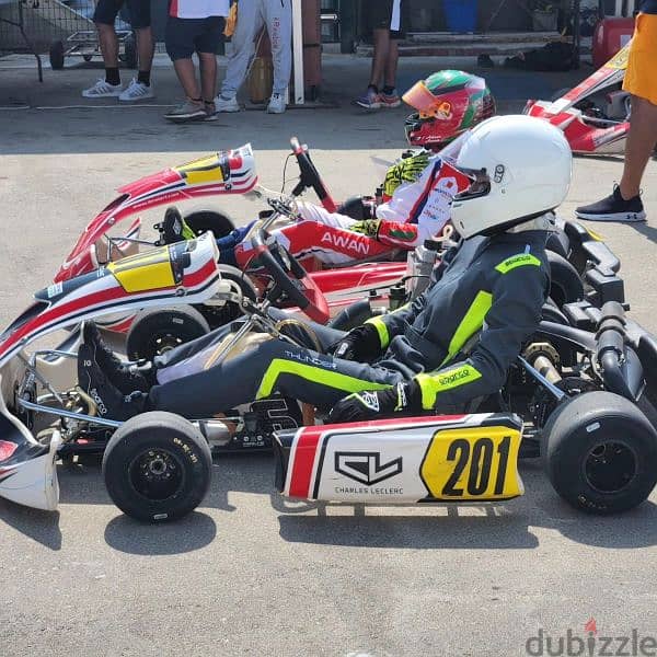 Birel Art Junior Max Kart 9