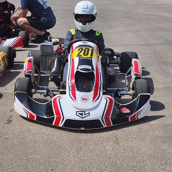 Birel Art Junior Max Kart 10