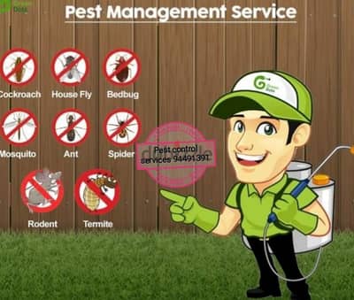 We have professional pest control service's 94491391