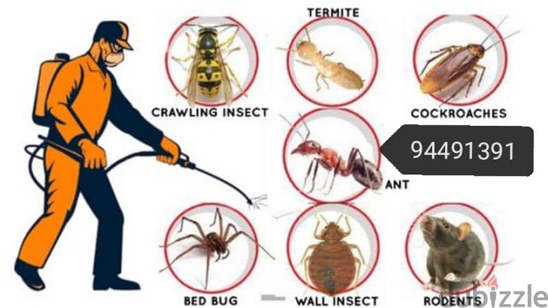 We have professional pest control service's 94491391 3