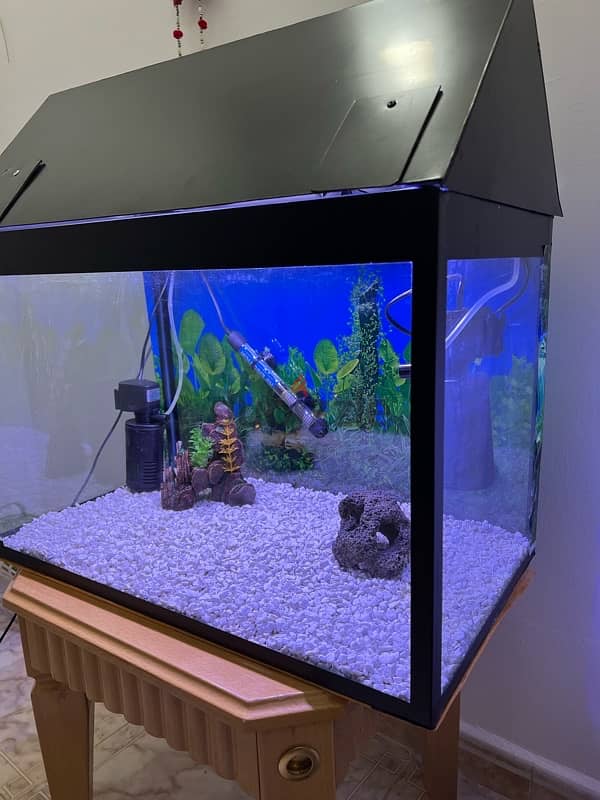 Fish Tank Aquarium 118 Litres 2