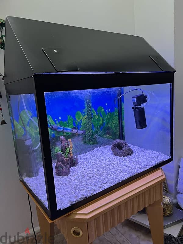 Fish Tank Aquarium 118 Litres 3