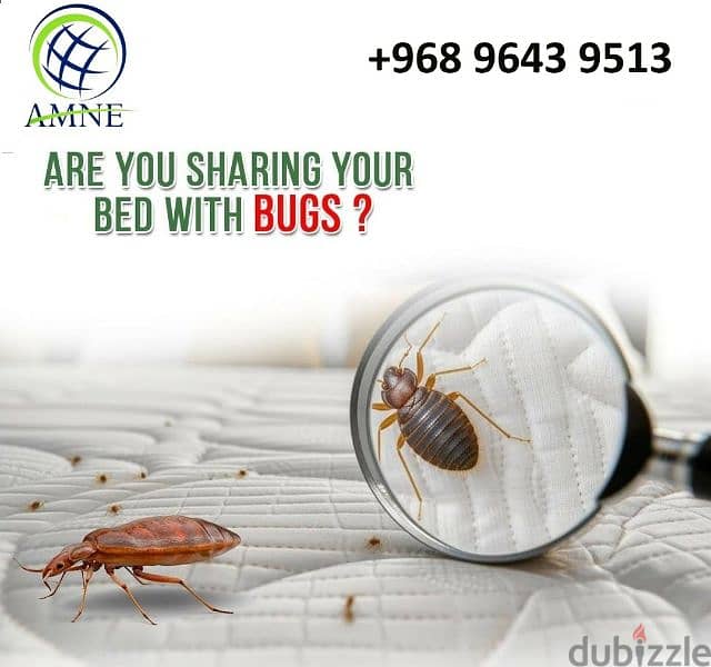 Muscat General Pest Control Service, 9485 8494 0