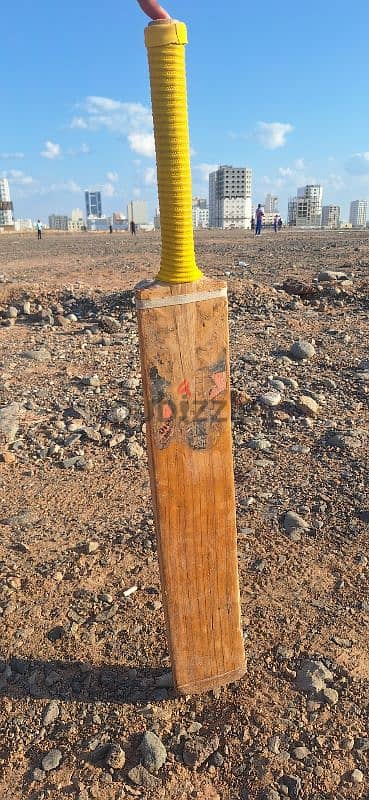 hard tennis cricket bat 3