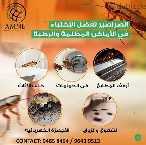 Muscat General Pest Control Service, 9485 8494 11