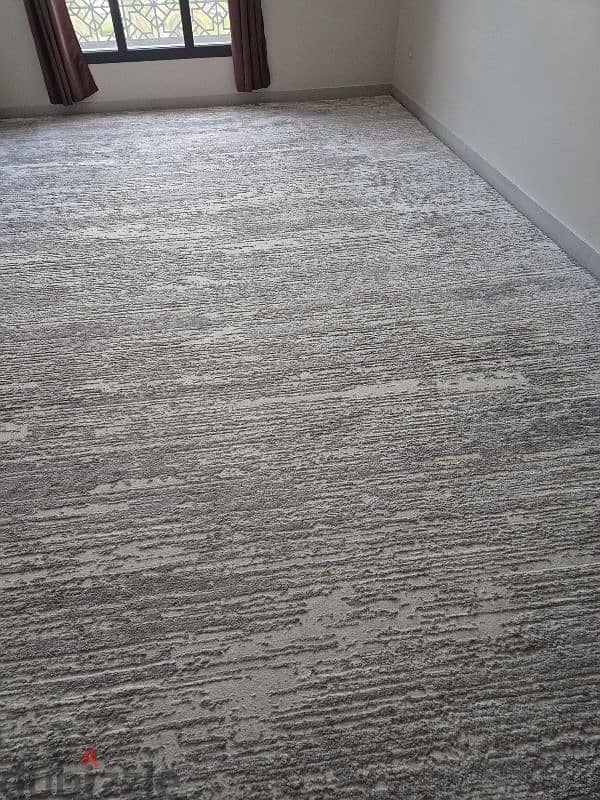 Modern design carpet for sale 0