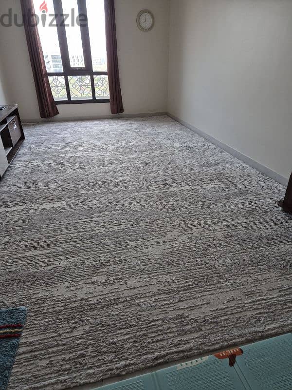 Modern design carpet for sale 2