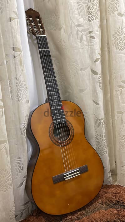 Guitar